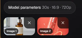 Reference picture thumbnails attached to a Seedance 2.5 prompt